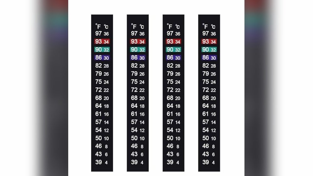 Best Fermentation Thermometer