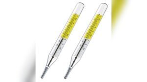 Best Glass Thermometer