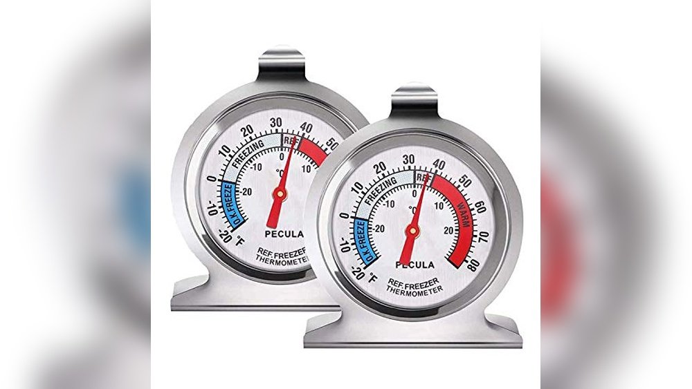 Best Refrigerator Thermometer