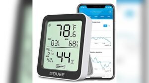 Best Smart Thermometer