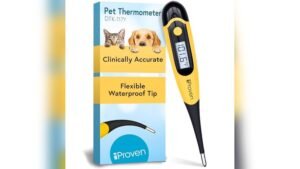 Best Veterinary Thermometer
