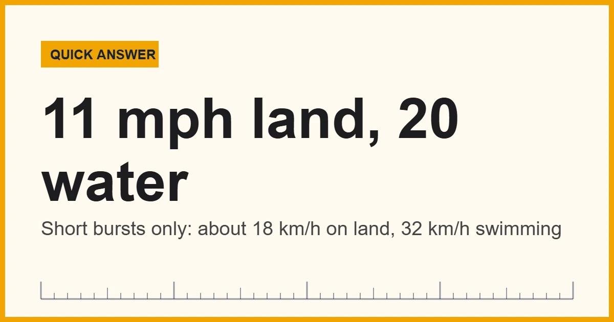Alligator speed card showing about 11 mph on land and 20 mph in water