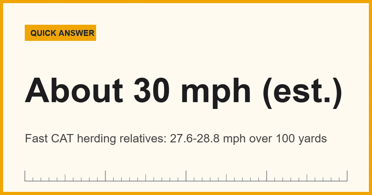 Australian Shepherd speed: about 30 mph sprint estimate, or 48 km/h