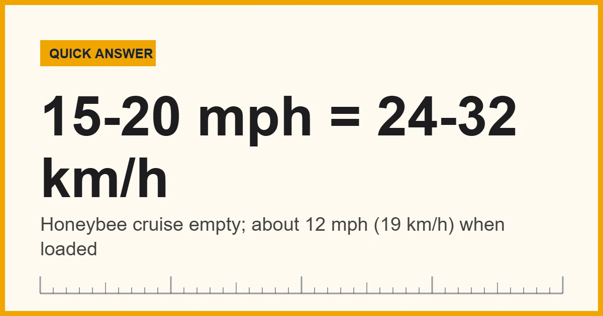 Chart showing how fast bees fly: honeybees cruise at 15 to 20 mph, about 12 mph when loaded