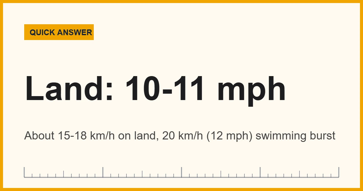 How fast are crocodiles: about 10 to 11 mph on land and 12 mph in water