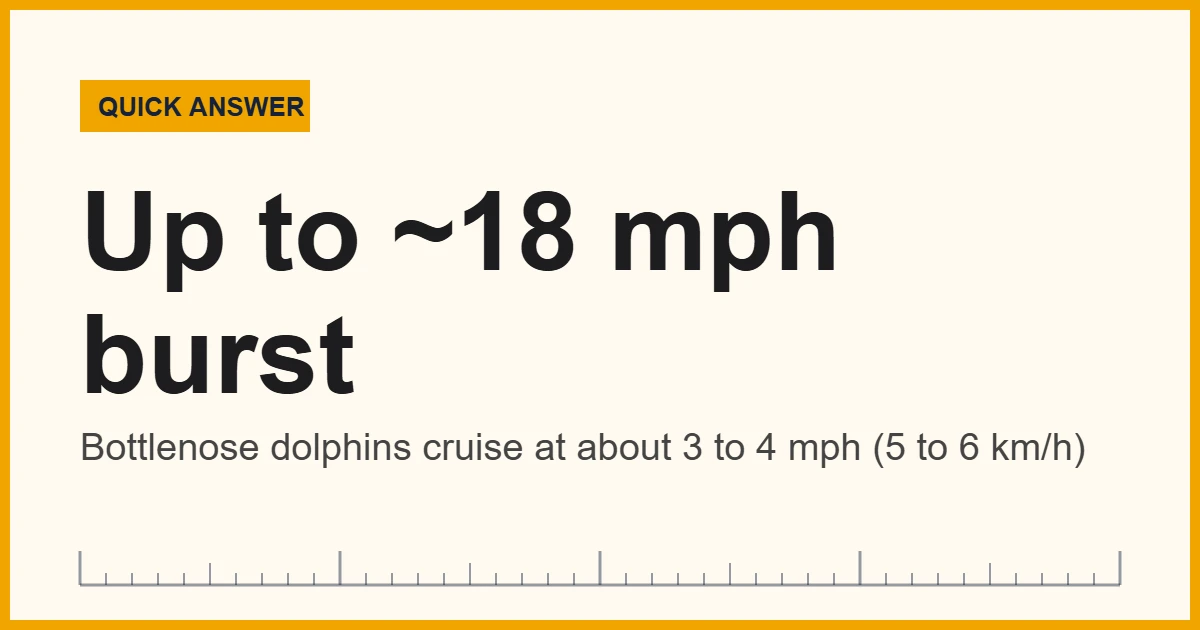 Chart showing how fast dolphins swim: about 3 to 4 mph cruising and up to about 18 mph in bursts