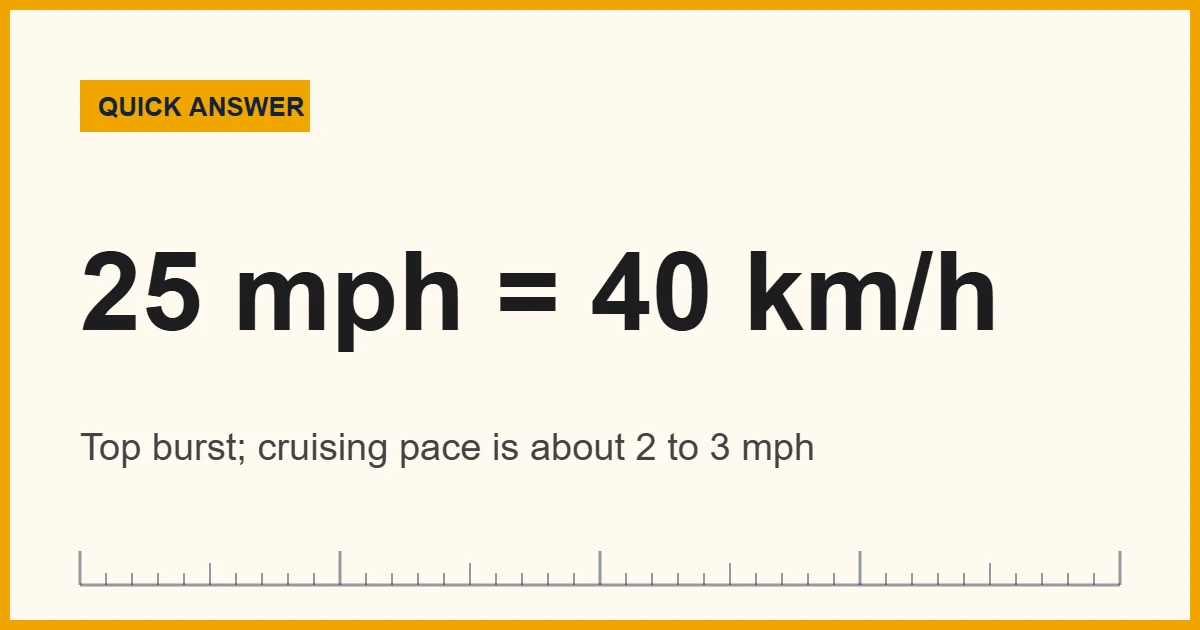 Great white shark speed card showing a top burst of about 25 mph (40 km/h)