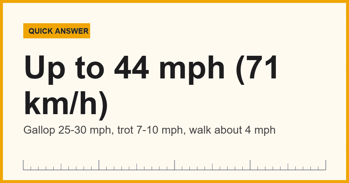 Horse run speed chart showing a racing Thoroughbred gallop of about 44 mph (71 km/h)
