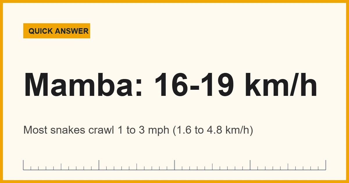 How fast are snakes: a black mamba bursts to about 16 to 19 km/h