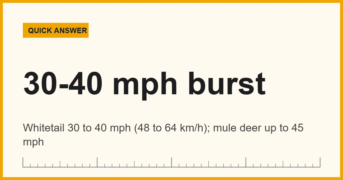 Fast deer speed card: a white-tailed deer runs 30 to 40 mph in short bursts