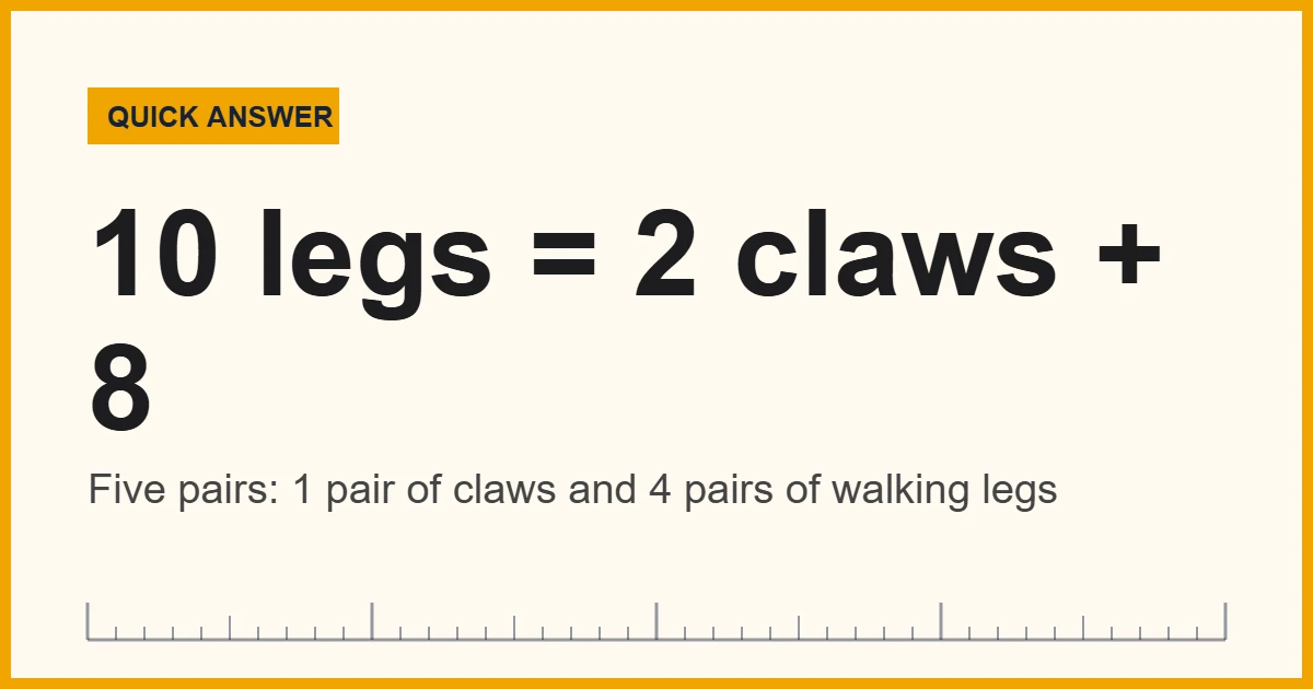 Diagram card showing crab legs: 10 in total, 2 claws and 8 walking legs