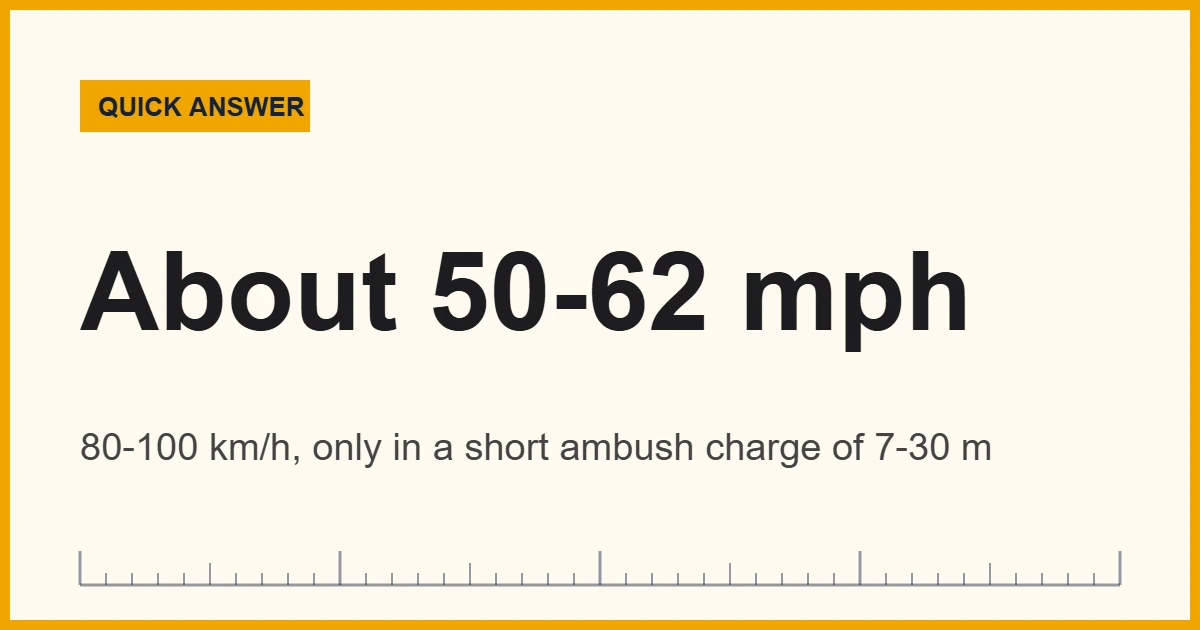 Jaguar speed chart showing about 50 mph (80 km/h) and up to 62 mph (100 km/h)