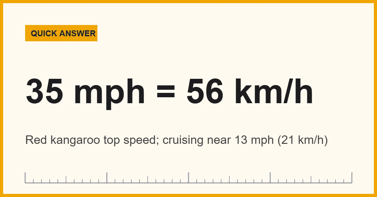 Kangaroo run speed chart: a red kangaroo tops out near 35 mph (56 km/h)