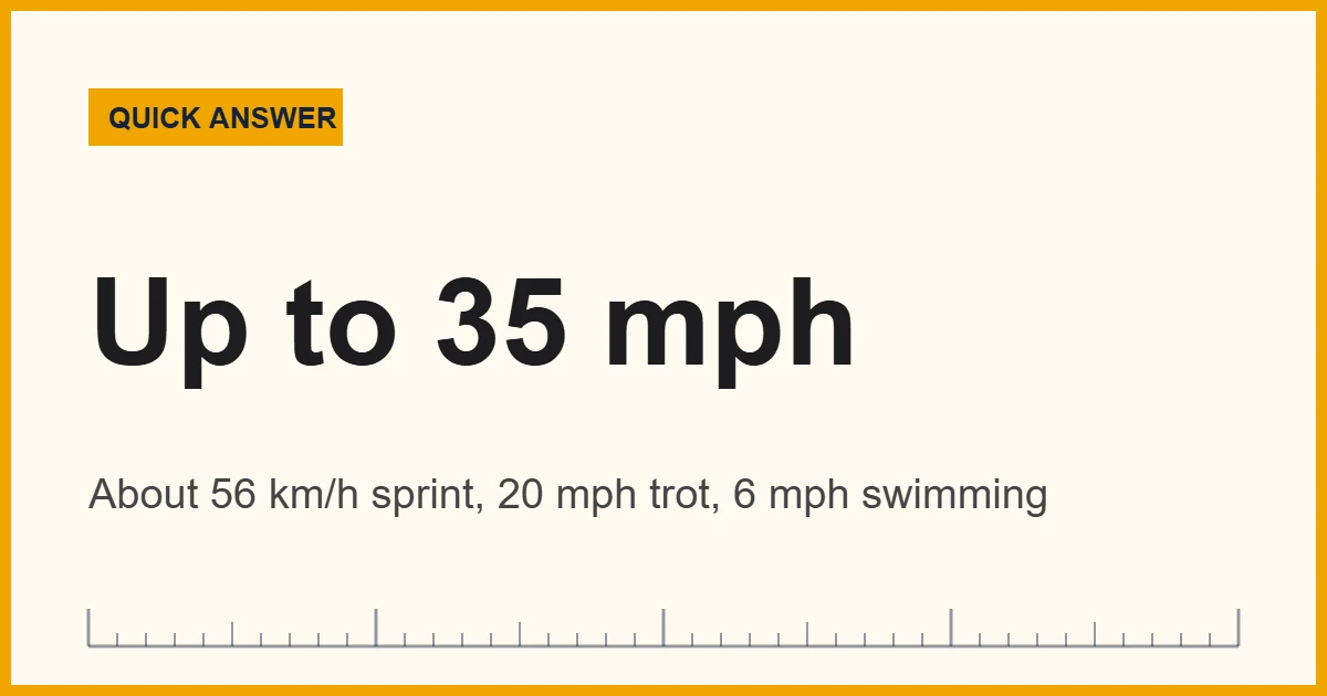 How fast can a moose run: up to 35 mph sprint, 20 mph trot, 6 mph swim