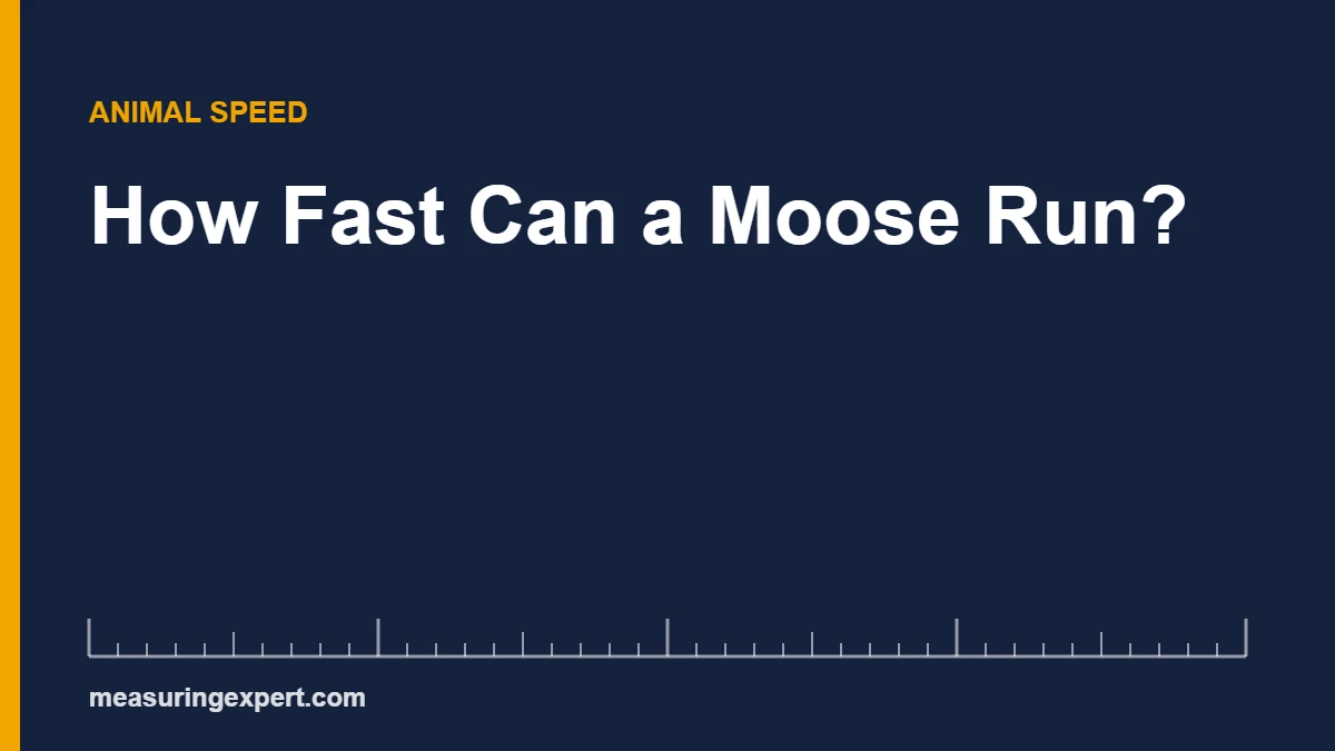 How fast can a moose run: up to 35 mph sprint, 20 mph trot, 6 mph swim