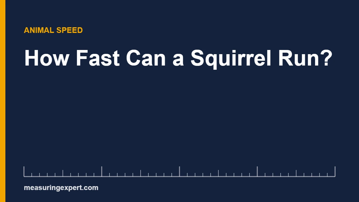 Squirrel speed chart: a gray squirrel sprints up to about 20 mph (32 km/h)